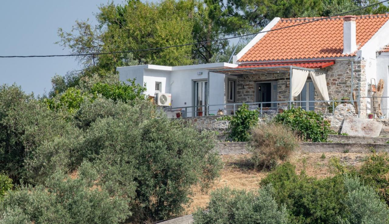 Oneiro Cottage Σκόπελος Εξωτερικό φωτογραφία