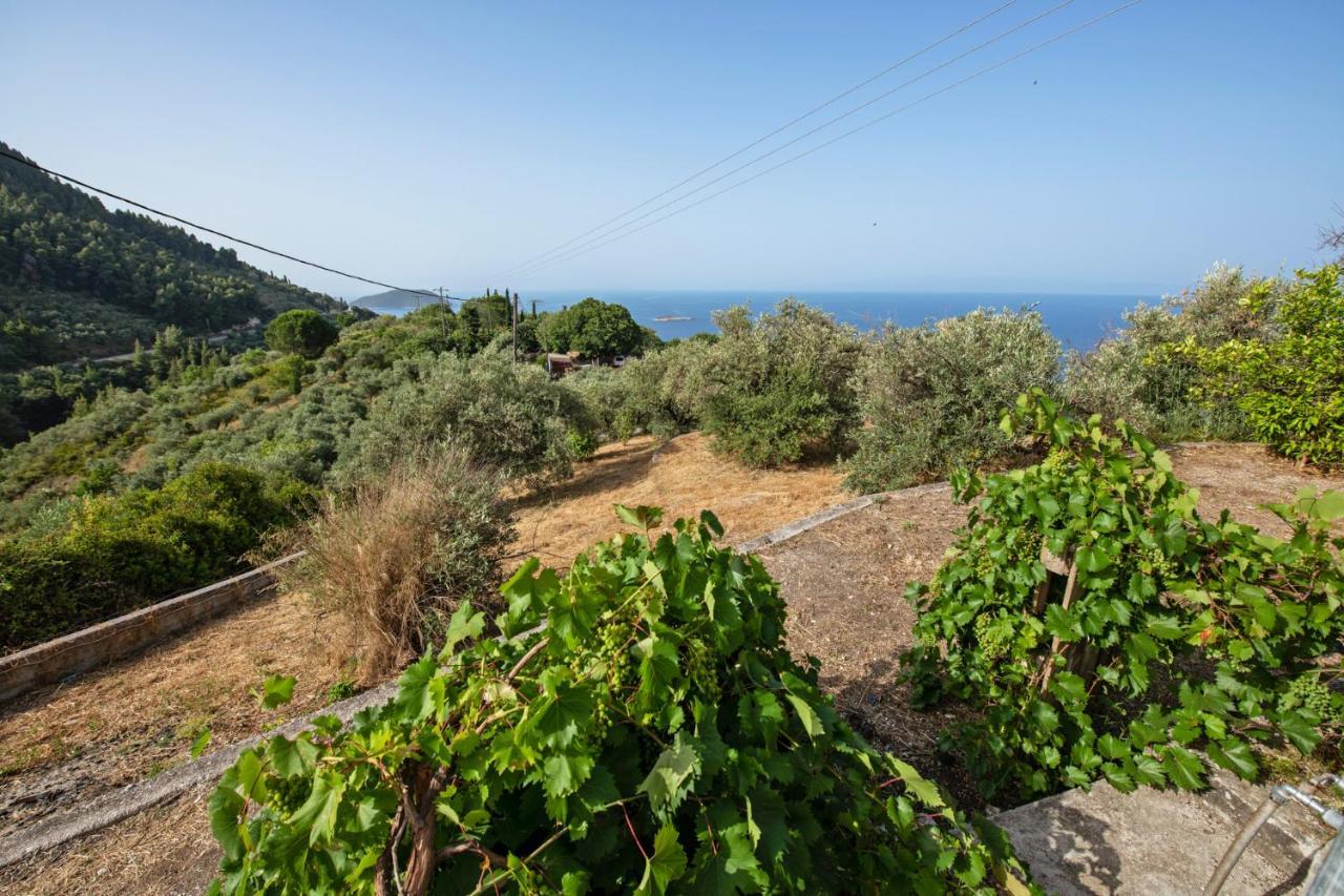 Oneiro Cottage Σκόπελος Εξωτερικό φωτογραφία