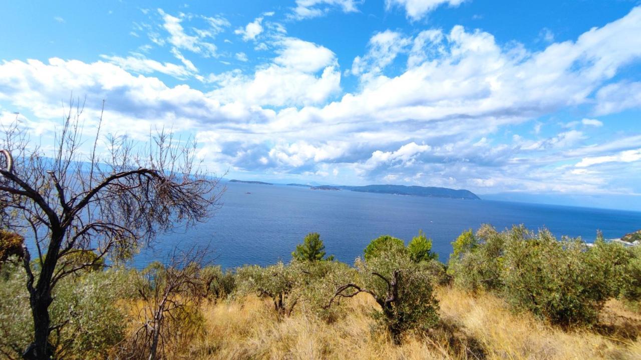 Oneiro Cottage Σκόπελος Εξωτερικό φωτογραφία